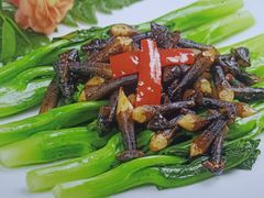 -陶缘一号·四季缘·老字号顺德菜·户外婚礼家宴(西滘店)