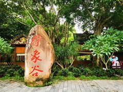 -野象谷景区