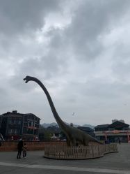 -恐龙探索乐园(磁器口店)