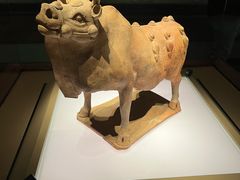 -太原市博物馆