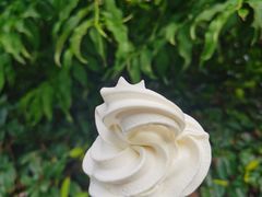 -蜜雪冰城(浙江大学店)