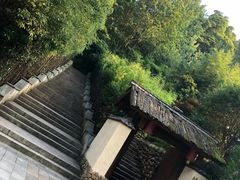 -云碧峰国家森林公园