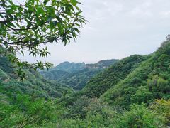 -老象峰