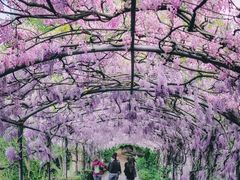 -圣母百花圣殿