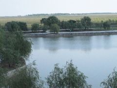 -盐城丹顶鹤湿地生态旅游区