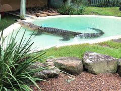 -费瑟代尔野生动物园