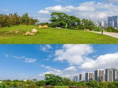 -福田红树林生态公园