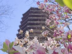 -玲珑塔公园