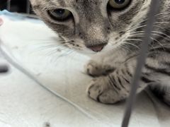 -北京华联购物中心(天通苑店)