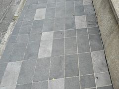 -湖锦酒楼·旗舰店(三阳总店)