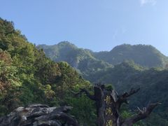 -龙湾潭国家森林公园