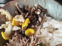 -芸鲜季·云南野生菌餐厅· 云南风物味研社(闵行店)