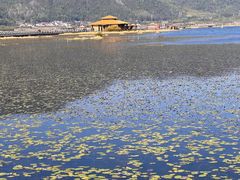 -腾冲北海湿地