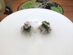 -觀芷隐轩
