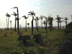 -北海金海湾红树林生态旅游区