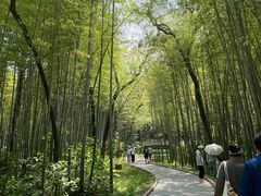 -青龙山国家森林公园