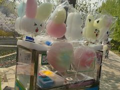 -元大都城垣遗址公园