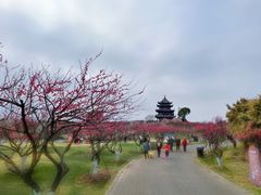 -上海海湾国家森林公园