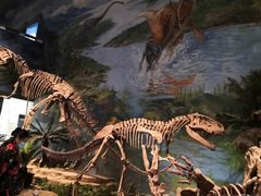 -自贡恐龙博物馆