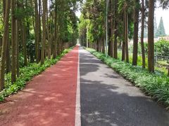 -上海长兴岛郊野公园