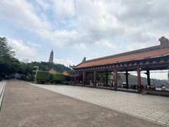 -顺峰山公园