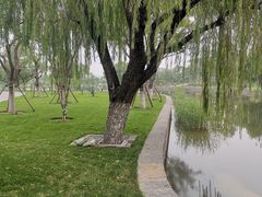 -西海子公园