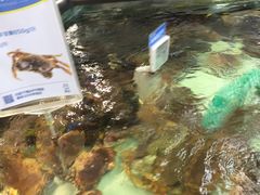 -盒马渔市餐厅