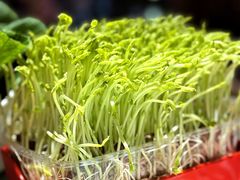 -番食园鲜食火锅(高新店)