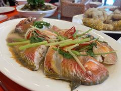 英歌鱼-达濠炒饭·潮汕味道