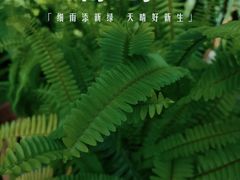 -国家植物园南园