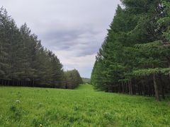 -塞罕坝国家级自然保护区