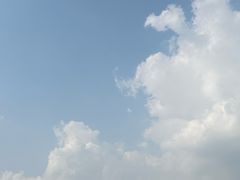-上海滨江森林公园