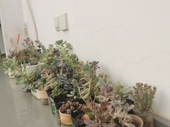 -素心小筑(后沙裕镇店)