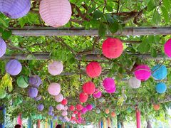 -苏州太湖西山岛开心农场