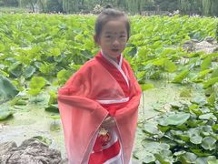 -莲湖公园