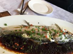 清蒸白水鱼。-龙汇酒家(沪闵路店)