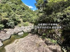 -龙湾潭国家森林公园