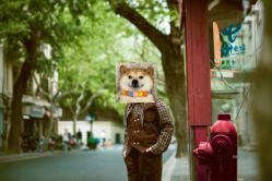 -西瓜庄园儿童摄影