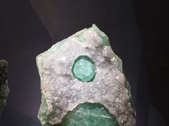 -湖南省地质博物馆