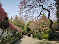 -岳王庙