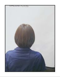 -风向标WIND VANE SALON