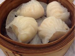 虾饺-凤城酒家(渣华道)