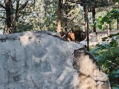 -阳台山自然风景区