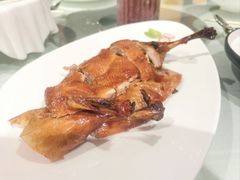 -圆苑(兴国路店)