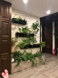 -青青一生美皮肤管理