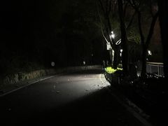 -金鸡山公园