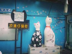 -猫咪博物馆(顶澳仔猫街店)