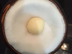 -志龙皇冠吃货椰子铺