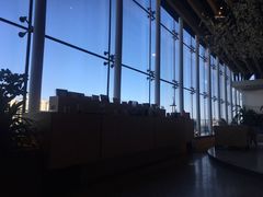 -Seesaw Coffee(朝阳大悦城店)