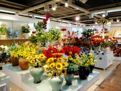 -上海月星家居(澳门路店)